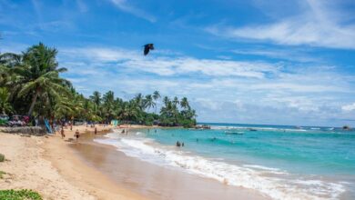 Things You Just Can’t Skip If You’re Visiting Sri Lanka