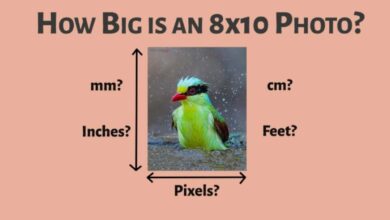 How Big is an 8×10 Picture An Ultimate Guide to Figure Out