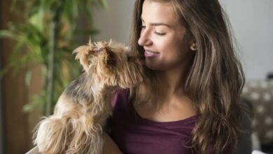 5 Extraordinary Ways to Cultivate a Deeper Bond with Your Canine Friend